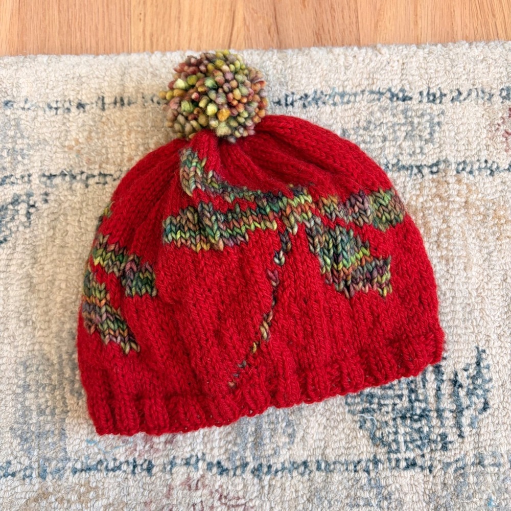 Hand Knit Dragonfly Pom Beanie Hat Boho Whimsy Fairy Cottage Gorpcore Red